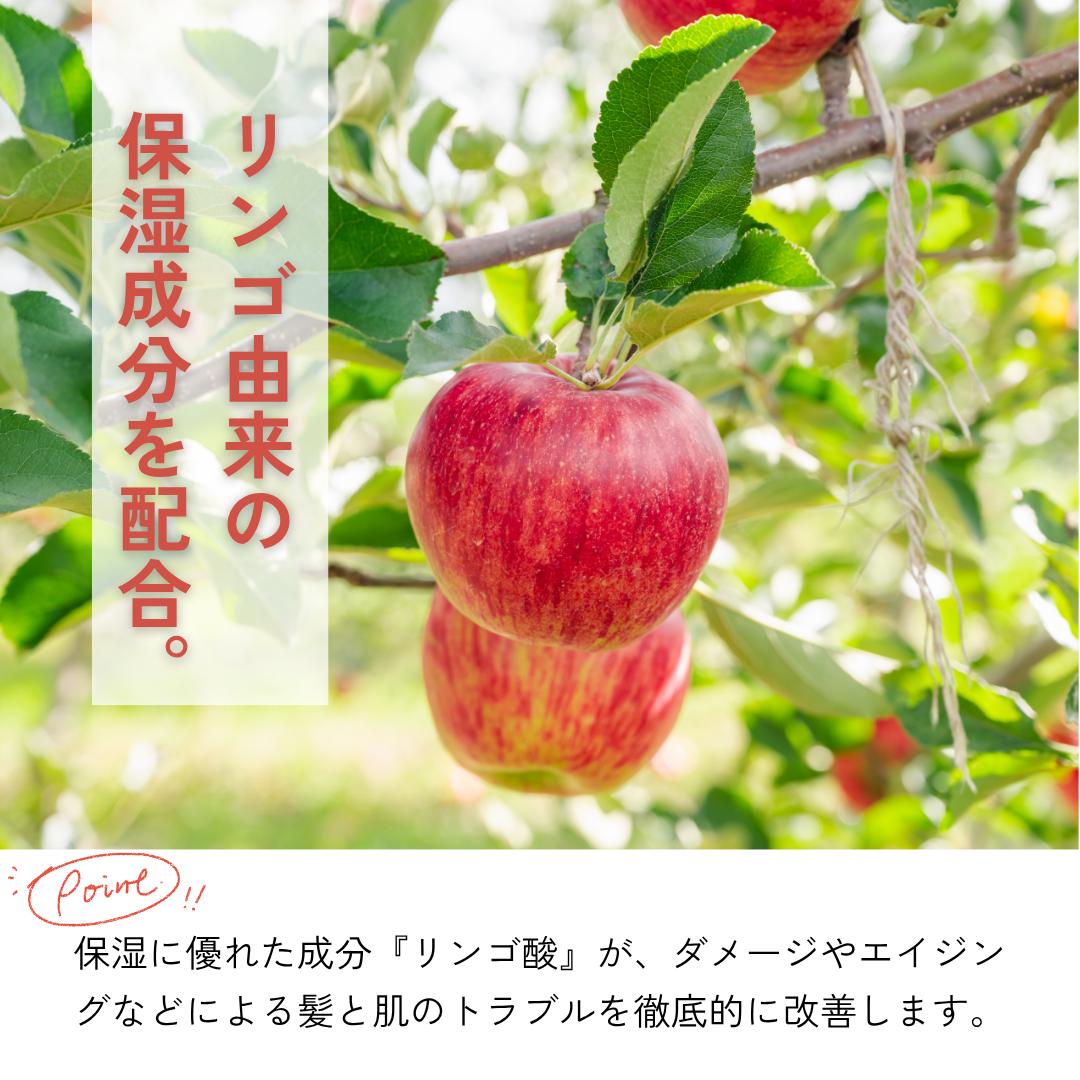 うるうシャンプー&うるうトリートメント(ボトルセット)